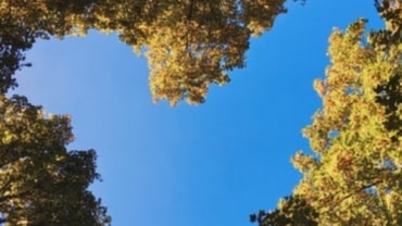 How to Feel Happy INSTANTLY. The Neuroscience of Gratitude.