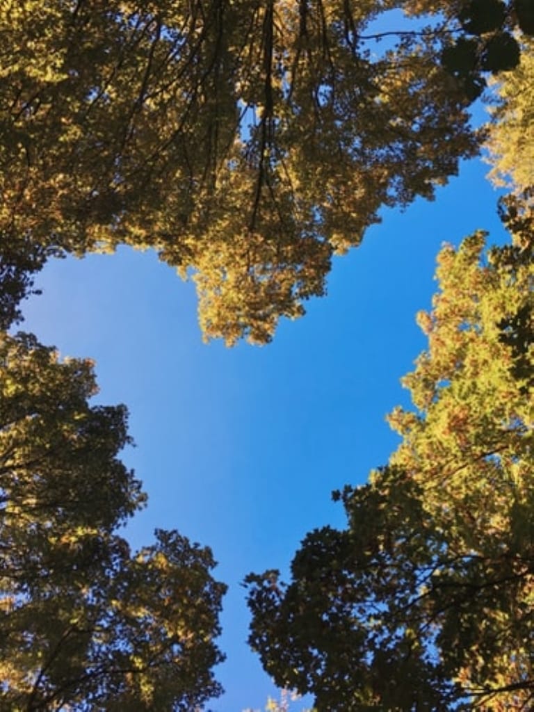How to Feel Happy INSTANTLY. The Neuroscience of Gratitude.