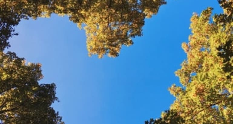 How to Feel Happy INSTANTLY. The Neuroscience of Gratitude.